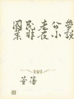 国民老公带回家叶非夜小说