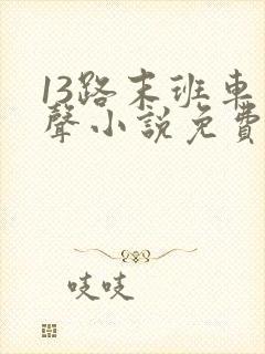 13路末班车有声小说免费听书