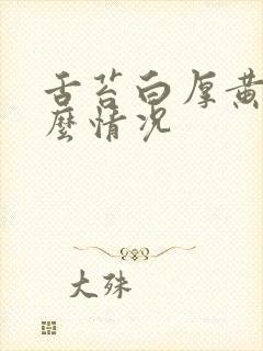 舌苔白厚黄是什么情况