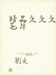 精品久久久国产毛片