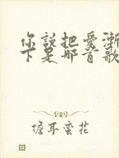 你说把爱渐渐放下是哪首歌的歌词