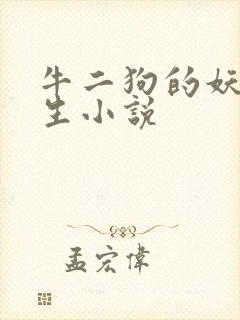 牛二狗的妖孽人生小说