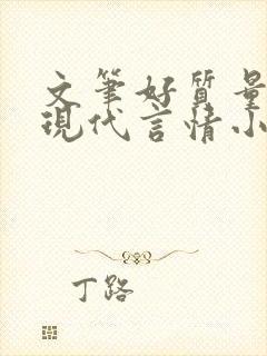 文笔好质量高的现代言情小说