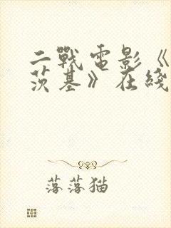 二战电影《波莱茨基》在线观看