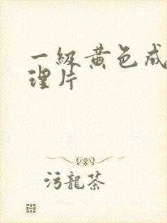 一级黄色成人伦理片