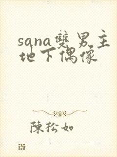 sana双男主地下偶像