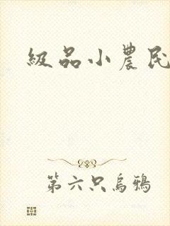 级品小农民封面