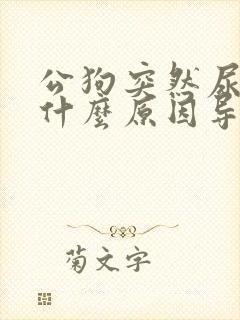 公狗突然尿血是什么原因导致的