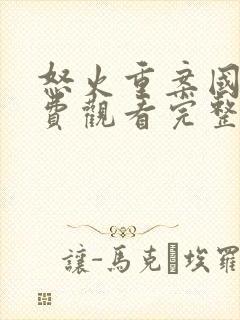 怒火重案国语免费观看完整版电影封面