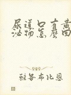 尿道口有黄色分泌物怎么回事