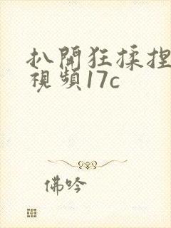 扒开狂揉捏喷水视频17c