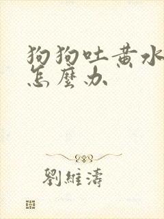 狗狗吐黄水腹泻怎么办