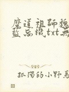 魔道祖师魏无羡蓝忘机txt无删减