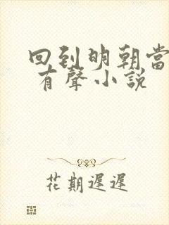 回到明朝当王爷 有声小说