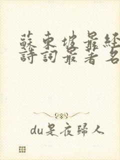 苏东坡最经典的诗词最著名的十首诗