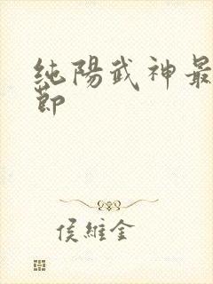 纯阳武神最新章节