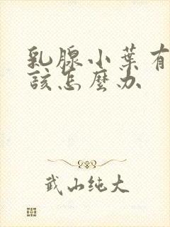 乳腺小叶有增生该怎么办封面