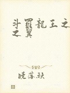 斗罗龙王之噬星之翼