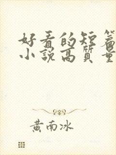 好看的短篇言情小说高质量文笔好