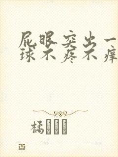 屁眼突出一个肉球不疼不痒封面