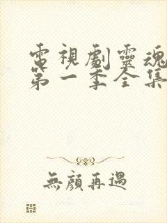 电视剧灵魂摆渡第一季全集免费播放