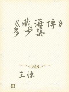 《藏海传》一共多少集