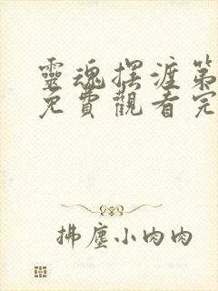 灵魂摆渡第3季免费观看完整版