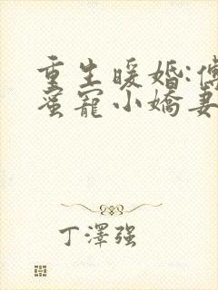 重生暖婚:傅少蜜宠小娇妻