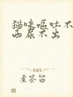 猫咪呕吐不吃东西尿不出