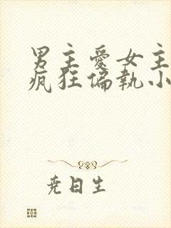 男主爱女主爱到疯狂偏执小说封面