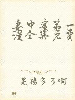 妻中蜜第一集动漫全集免费观看