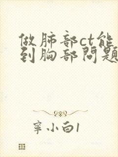 做肺部ct能看到胸部问题吗