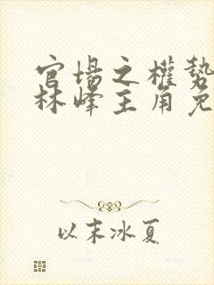 官场之权势滔天林峰主角免费阅读