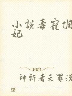 小说毒宠佣兵王妃