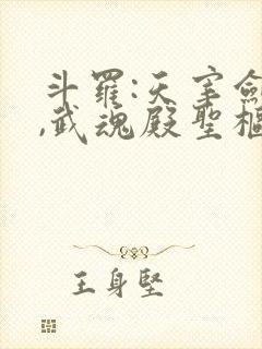 斗罗:天宰剑仙,武魂殿圣枢首席免费封面