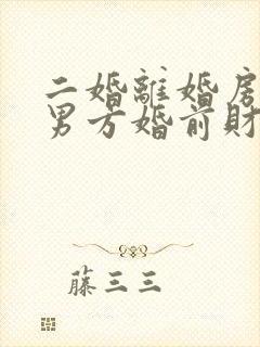 二婚离婚房子是男方婚前财产怎么办