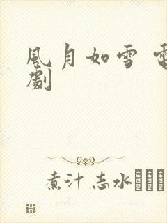 风月如雪 电视剧