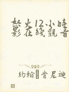 怒火12小时电影在线观看国语封面