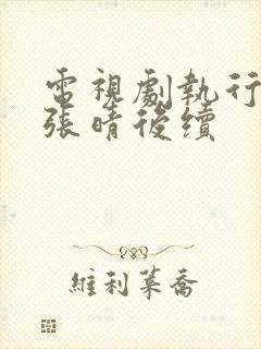 电视剧执行法官张晴后续