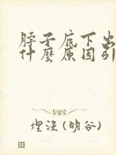 脖子底下出汗是什么原因引起的