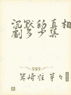 沉默的真相电视剧多少集