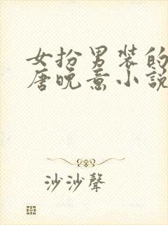 女扮男装的县令唐晚意小说