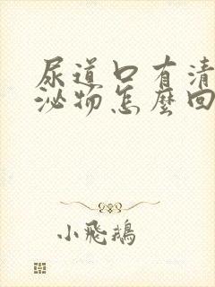 尿道口有清水分泌物怎么回事