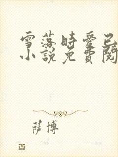 雪落时爱已落幕小说免费阅读全文