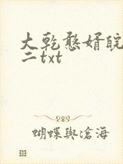 大乾憨婿皖南牛二txt