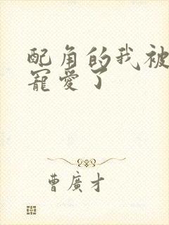 配角的我被王子宠爱了