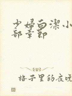 少妇白洁小说全部章节