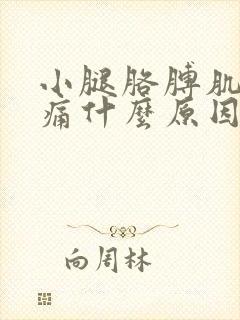 小腿胳膊肌肉酸痛什么原因