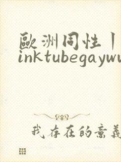 欧洲同性丨twinktubegaywww