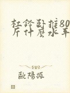 杠铃卧推80公斤什么水平